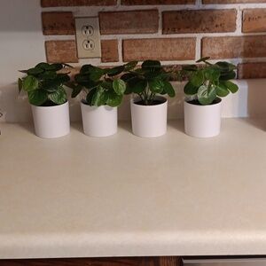 Threshold Faux Plants Set of 4